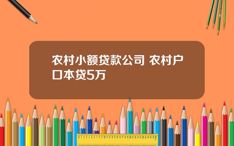 农村小额贷款公司 农村户口本贷5万